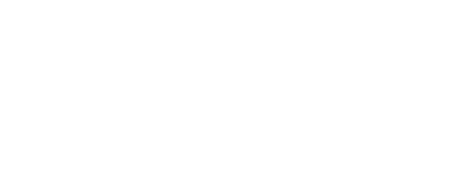 Bluesound Professional logo