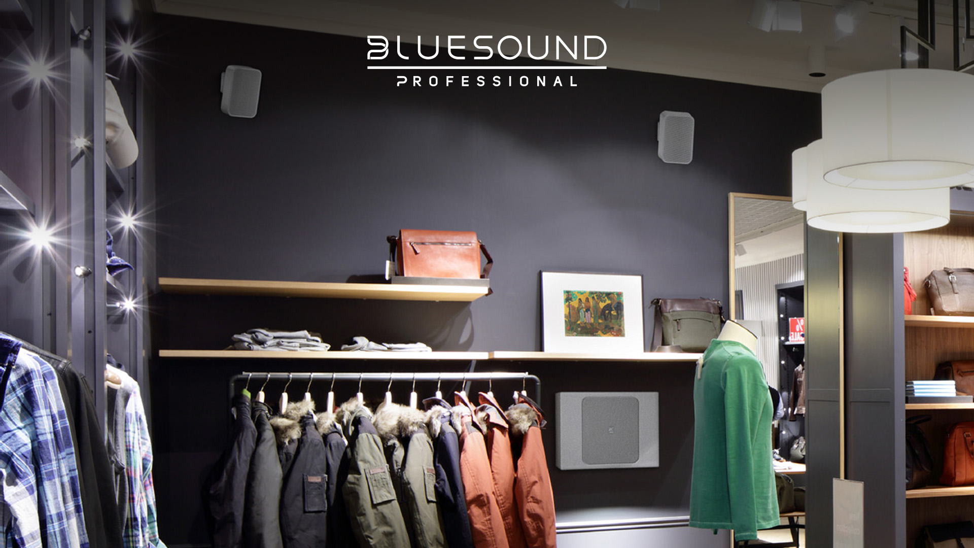 BSP200 and BSW150 in a retail store